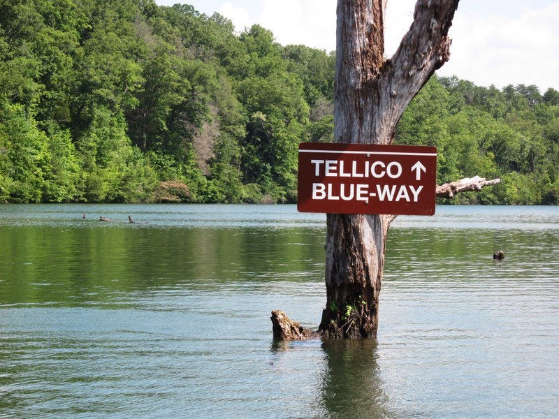 Tellico River, Blueway & Lake